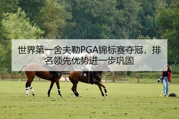 世界第一舍夫勒PGA锦标赛夺冠，排名领先优势进一步巩固